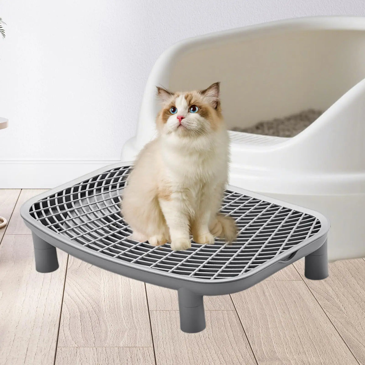 Cat Litter Box Ramp with Litter-Trapping Mesh