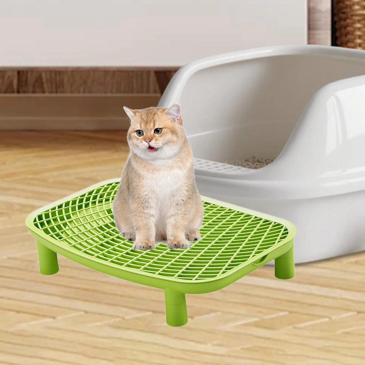 Cat Litter Box Ramp with Litter-Trapping Mesh