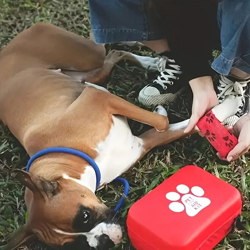 Pet First Aid Kit for All Animals – Emergency Supplies & Blanket, Hiking & Camping