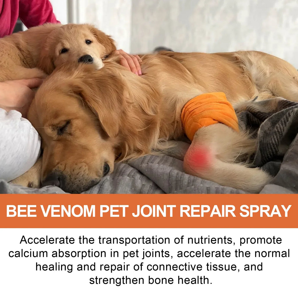 Bone & Joint Care Spray for Dogs & Cats