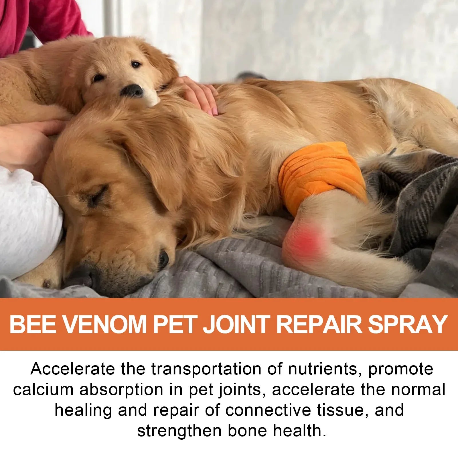 Bone & Joint Care Spray for Dogs & Cats