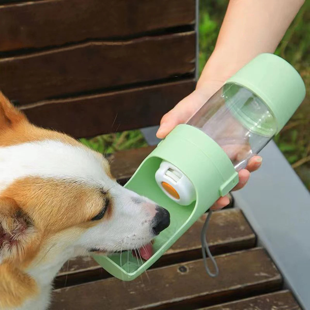 2-in-1 Travel Water Bottle & Food Container for Senior Dogs & Cats | 450ml Water + 150ml Feeder