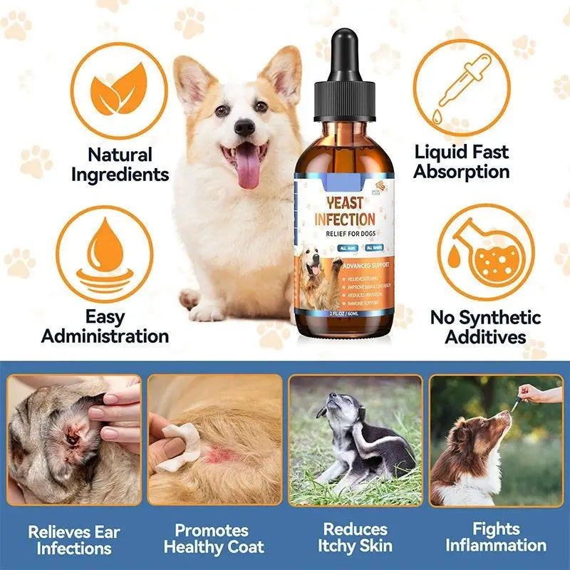 Herbal Skin & Coat Care Drops for Dogs – 3 Gentle Formulas, 60ml