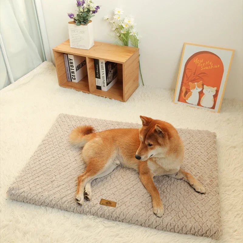 Orthopedic Memory Foam Dog Bed