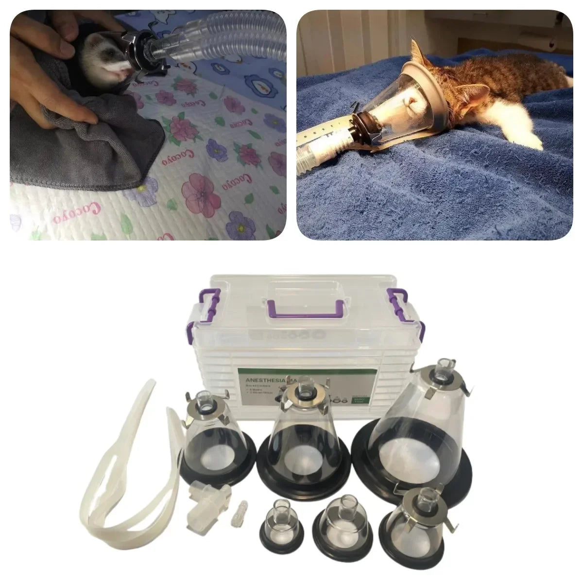 Pet Breathing Mask & Oxygen Inhalation Kit – Dogs, Cats, Birds & Small Animals, Veterinary Use