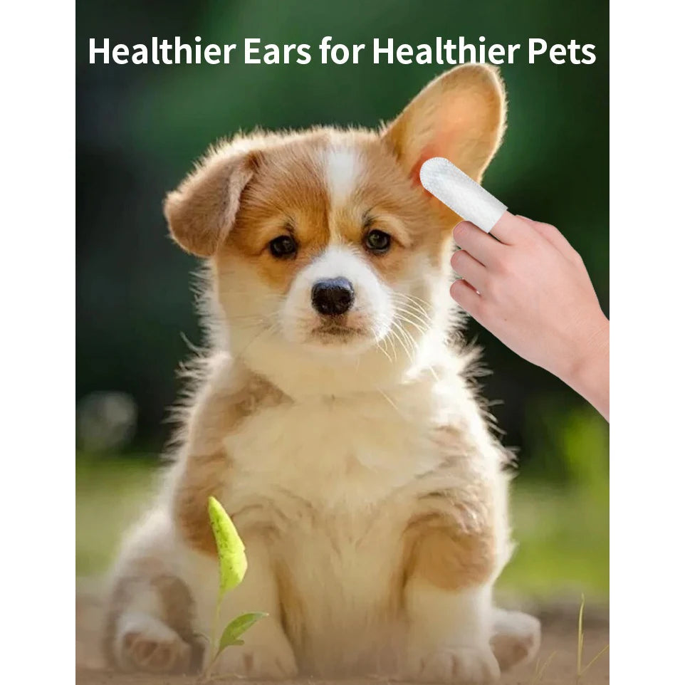 Ear Cleaning Wipes & Fingertip Pads for Dogs & Cats