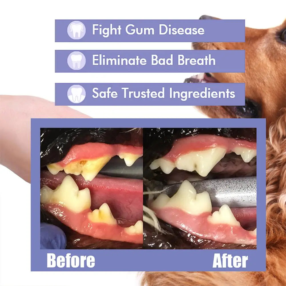 Pet Dental Spray for Dogs & Cats – Reduces Plaque & Tartar, Fresh Breath, 30ml