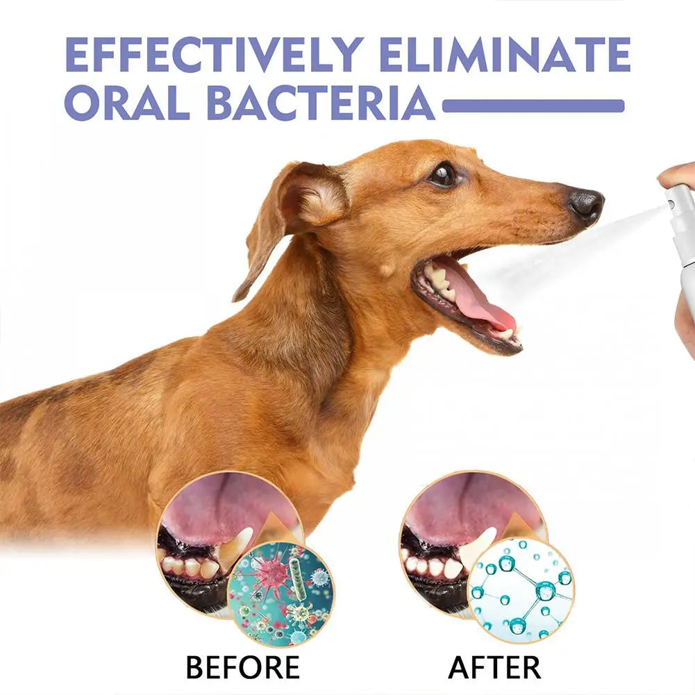 Pet Dental Spray for Dogs & Cats – Reduces Plaque & Tartar, Fresh Breath, 30ml