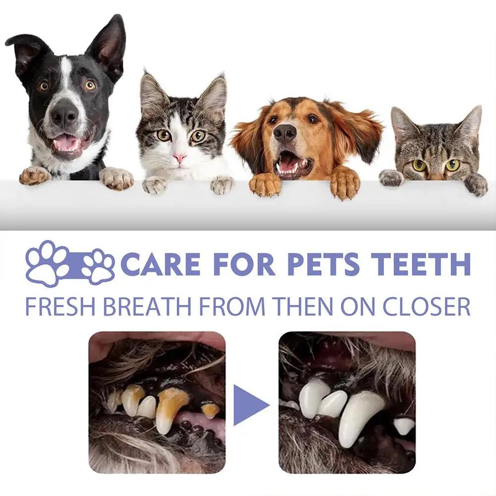 Pet Dental Spray for Dogs & Cats – Reduces Plaque & Tartar, Fresh Breath, 30ml