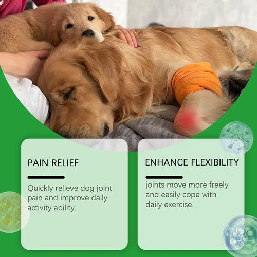 80 Tablets Pet Joint Care Soft Chews Supplement Glucosamine Pet Joint Care Chews Chondroitin Supplement For Dogs Joint Support
