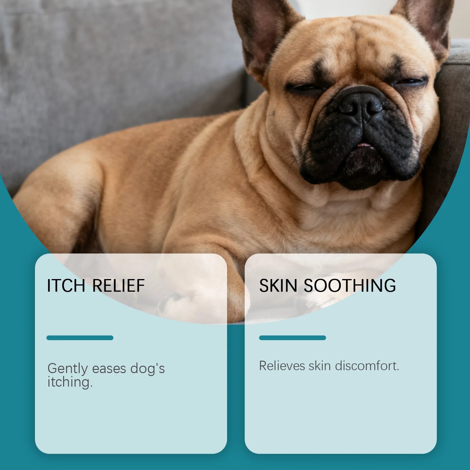 Pet Skin Care Spray for Dogs, Cats & Farm Animals – Gentle Formula, Relieves Skin Discomfort