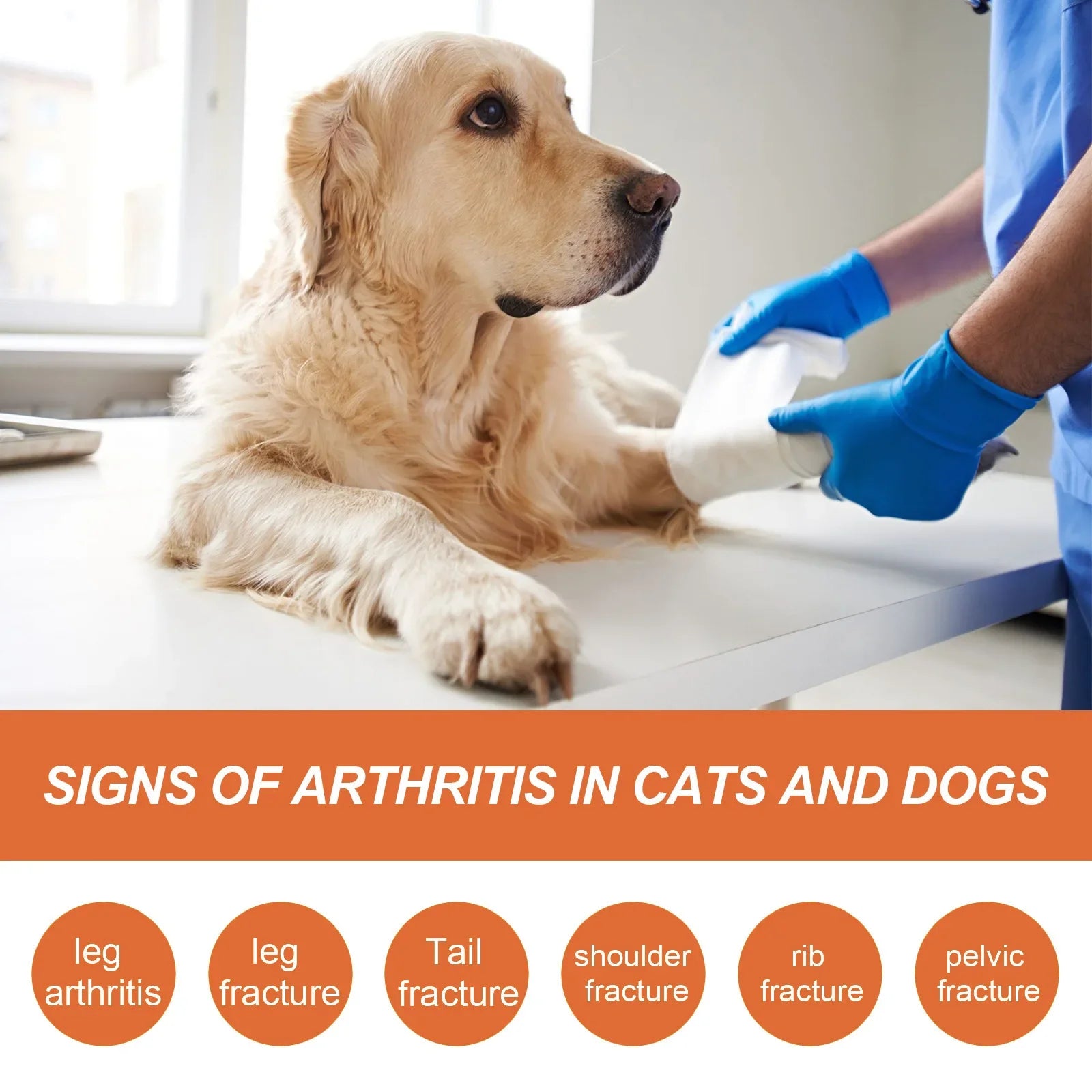 Bone & Joint Care Spray for Dogs & Cats